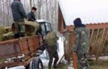 Диких тварин Вінниччини рятують і обліковують