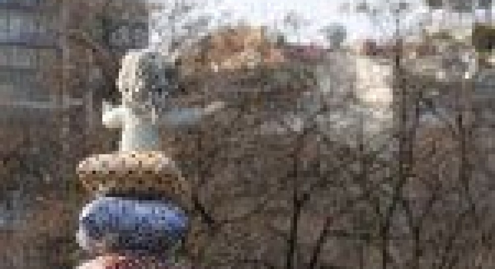 Пейзажна алея: будувати не будувати