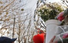 У Харкові на честь Тимошенко в небо випустять голубів