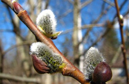 Погода на завтра