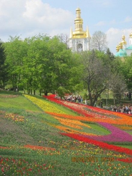 На территории Певческого поля состоится большая весенняя выставка-продажа декоративных растений На территории Певческого поля состоится большая весенняя выставка-продажа декоративных растений