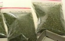 Собака Тіна знайшла в потязі маріхуану