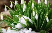 Погода в Украине на среду: до +23°