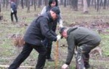 Вінницька влада насадила 2.6 га нових лісів