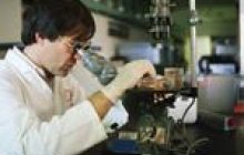 Бюджет профінансував обласну науку тільки на третину