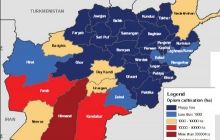 Кількість опію в Афганістані досягла рекорду