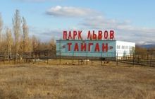 У кримському сафарі-парку пропонують послугу «левеня в номер»
