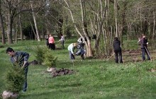 Чиновники Крыма поменяли ручки на лопаты (фото)
