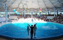 У Криму відкрився один із найбільших в Україні дельфінаріїв (фото)