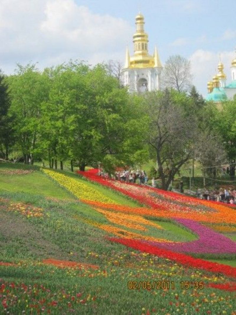 На территории Певческого поля состоится большая весенняя выставка-продажа декоративных растений