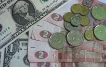 Economist назвал «справедливую цену» доллара в Украине