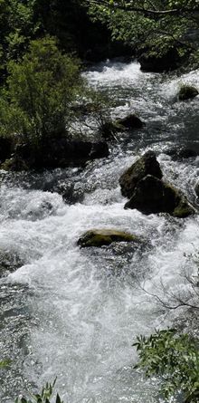 У Севастополі туристи потрапили під каменепад: загинула жінка
