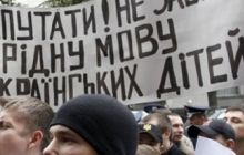 БЮТ-Батькивщина обжалует голосование за «языковой» законопроект