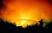 Калифорнию охватили лесные пожары: эвакуированы две тысячи человек