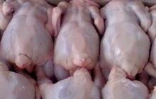В Черкасской области перевернулся грузовик с 20 тонами курятины