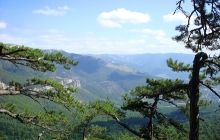 Горит Ялтинский заповедник
