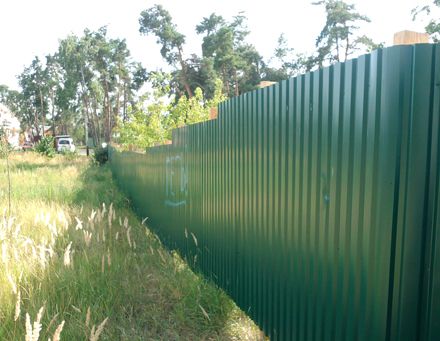 Парк Малишка в очікуванні виборів