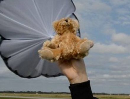 В Беларуси задержали 16-летнюю девушку, сфотографировавшую «плюшевый десант»