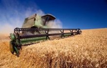 Вінниччина зібрала майже третину ранніх зернових
