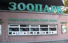Женщины смогут 8 марта бесплатно посетить столичный зоопарк