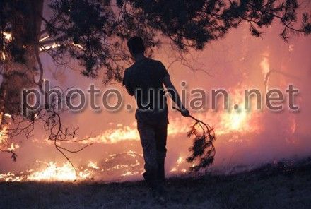 Пожары на Херсонщине: окурок пастуха или результаты нелегальной добычи песка