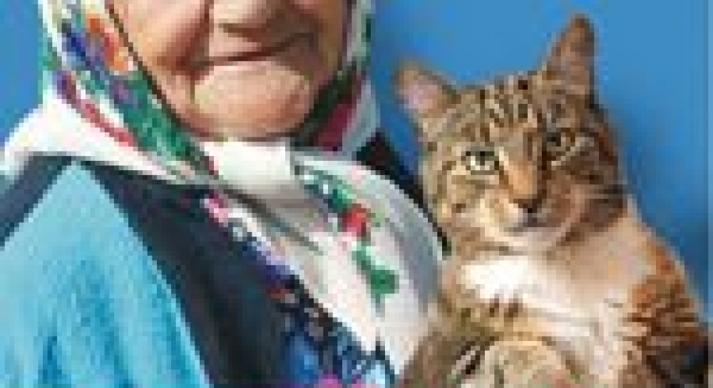 Автор билборда с котом и бабушкой: «Не надо бояться»