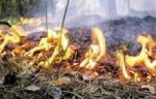 Вінниччина горить: 173 займання через спеку
