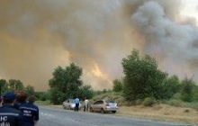 В деле о поджогах в херсонских лесах есть подозреваемый и свидетель