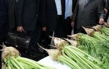 Министерство: цена на сахар несправедливая и такой останется