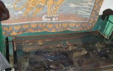 Чоловік підпалив ліжко і загинув