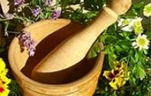 Лікувальні трави і вагітність