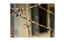 Потенциал сценария криминализации клеветы еще не исчерпан