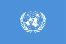 В ООН высказались по поводу нового законопроекта