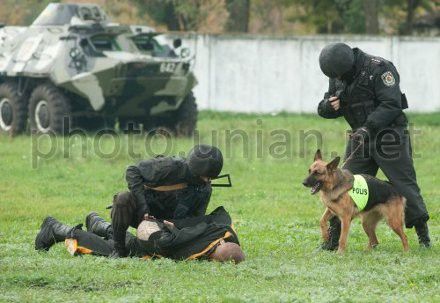 Спецназ Внутренних войск готовится к выборам в Киеве (фото) Спецназ Внутренних войск готовится к выборам в Киеве (фото)