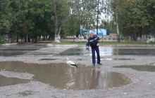Лелека допомагає немирівським даїшникам патрулювати