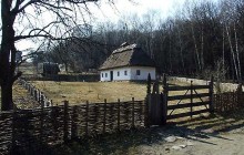 Усе село Крищинці поїхало в Київ на виставку