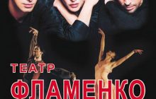 Навчитися іспанському фламенко можна на концерті