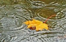 Цього тижня в Україні буде холодно і дощитиме