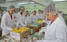 У Вінниці 700 жінок вже пакують новорічні подарунки