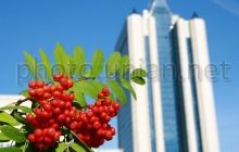 Fitch сомневается, что Газпром сделает Украине скидку на газ