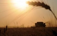 Гідрометцентр: Через пізню весну Україну чекатиме неврожай зернових