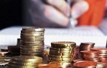 На кожного вінничанина ввезли 3,4 кг імпортних курей і м’яса
