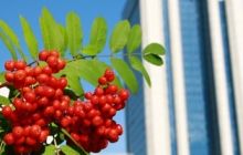 СМИ: Газпром не может получить финансирование для Южного потока