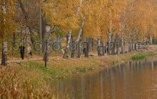 Завтра в Украине будет облачная, без существенных осадков, погода