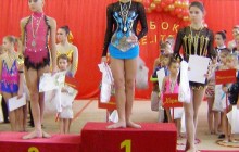Вінничанки виграли міжобласний турнір з художньої гімнастики