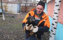 Цуценя для пенсіонерки дістали з вигрібної ями