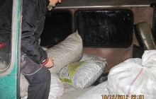 Українець намагався вивезти в Росію 14 мішків волоських горіхів