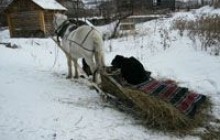 Чоловік впав з воза і замерз