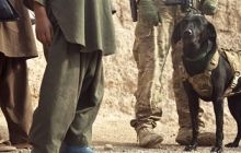 США не виключають повного виведення військ з Афганістану