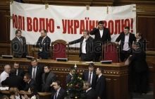 ВР розгляне проекти щодо декриміналізації «статей Тимошенко і Луценка»